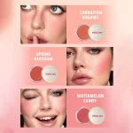 ست 6 عددی رژ گونه cheeky color jam شیگلم