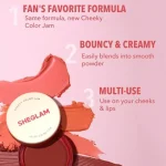 ست 6 عددی رژ گونه cheeky color jam شیگلم