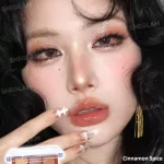 پالت سایه 9 رنگ شیگلم سینامون اسپایس