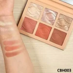 پالت رژگونه و هایلایتر کارکتر مدل Glow & Blush کد CBH003