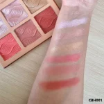 پالت رژگونه و هایلایتر ۶ رنگ کارکتر مدل CBH001
