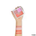 پالت رژگونه ۴ رنگ فیوچر میکاپ FU3602