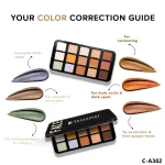 پالت کانتور و کانسیلر ۱۰ رنگ کارکتر مدل Face Palette کد C-A302